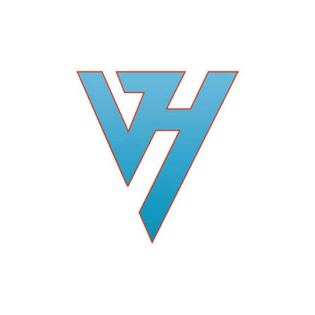 Virtual Height IT Services Pvt. Ltd logo
